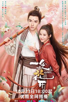 南岸seo自然搜索优化排名