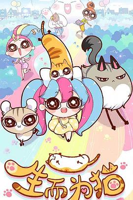 河南seo优化定制